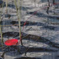  Beili Liu - Mining the Material 