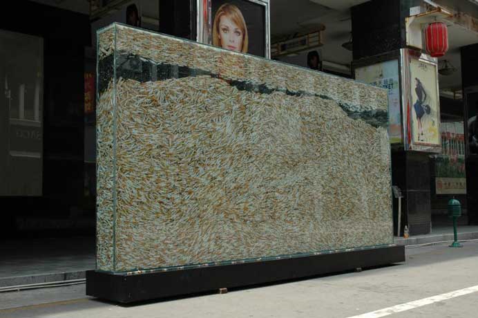 Chen Wenqin  陈文钦  -  Specimen  -  Tobacco, Toughened glass, stainless steel   