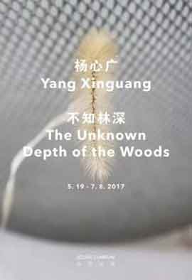  杨心广  Yang Xinguang  -  不知林深  The Unknown Depth of the Woods  -  19.05 05.07 2017  Beijing Commune  -  poster