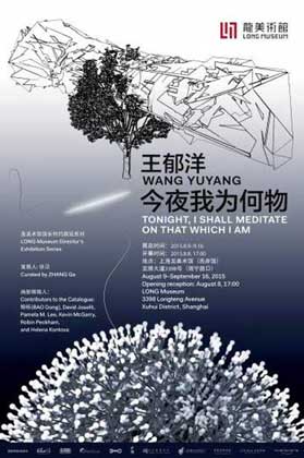 Wang Yuyang 王郁洋 - Today I shall meditate on that wich I am - 09.08 16.09 2015 Long March Museum  Shanghai