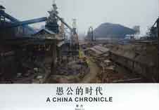 Zeng Li  曾力 - 愚公的时代    A China Chronicle