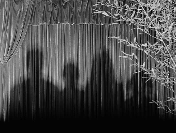 Wang Ningde 王宁德 