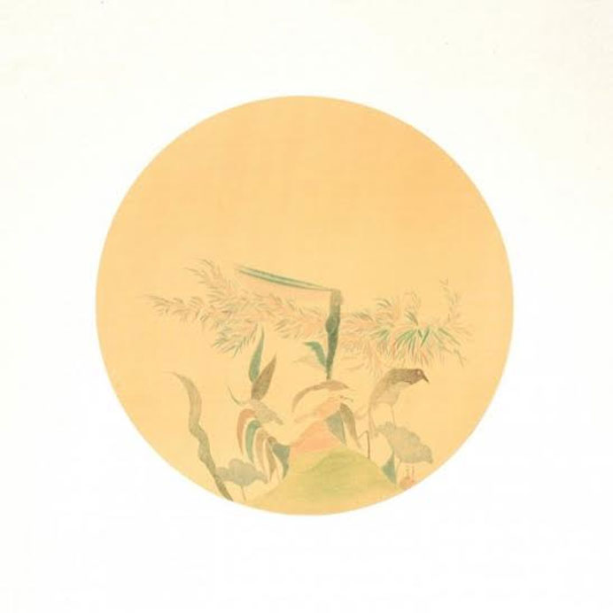 Chai Yiming 柴一茗