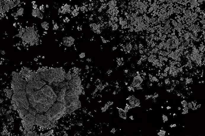 Wang Yuyang 王郁洋