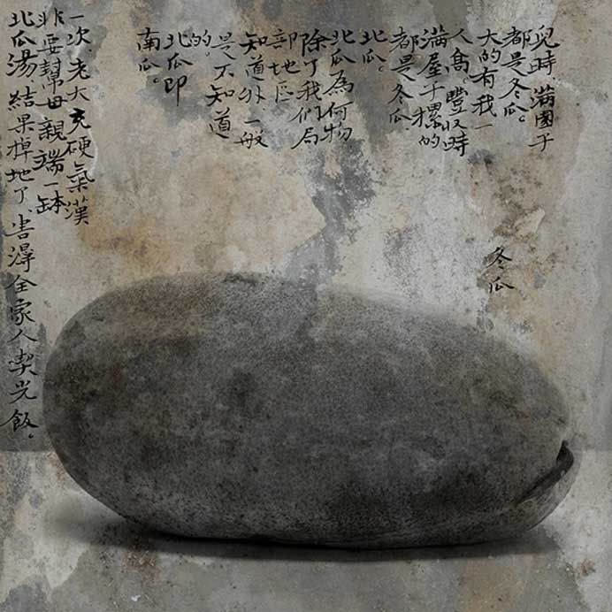 Wei Bi 魏壁