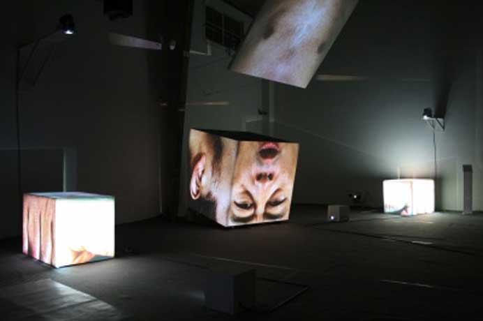  Du Zhenjun 杜震君