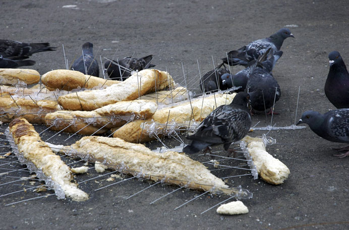  Kuo-Wei Lin  林國威