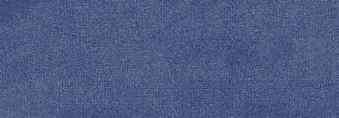  Lu Xinjian 陆新建