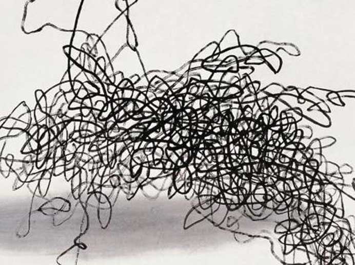  Wang Huangsheng 王璜生