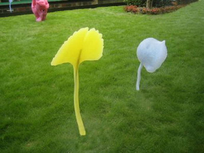 Zhang Jianjun 张健君 Zhang Jianjun 张健君