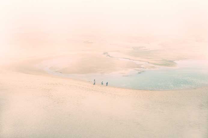  Robert Zhao Renhui  赵仁辉