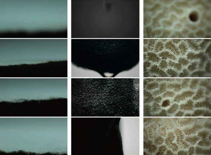 Hu Xiaoyuan 胡晓媛