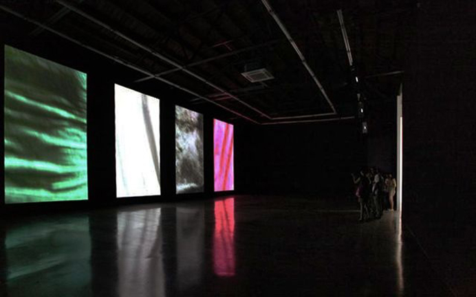 Hu Xiaoyuan 胡晓媛