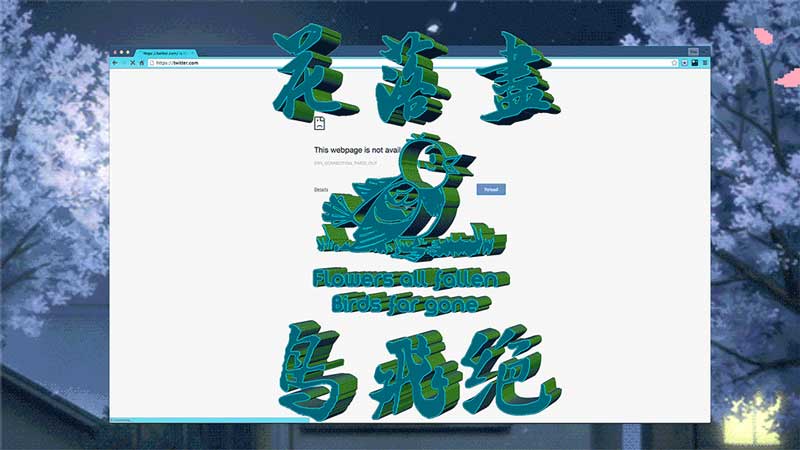 Miao Ying 苗颖 Miao Ying 苗颖