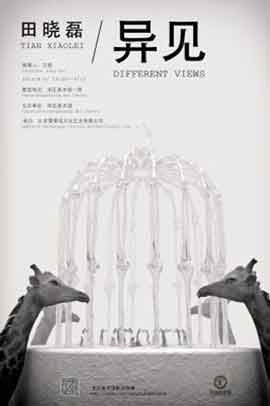  TIAN XIAOLEI  田晓磊  Different Views 03.08 12.09 2013  Song Zhuang Art Center  Beijing