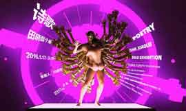 TIAN XIAOLEI  田晓磊  Poetry  17.01 19.03 2016  Space Station  Beijing   