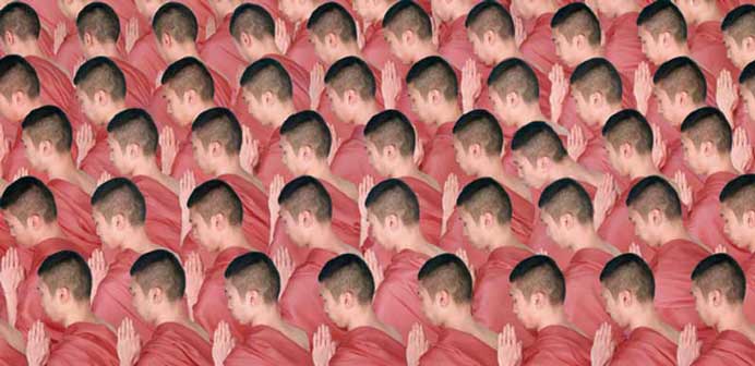 Wang Zi王子 Wang Zi王子