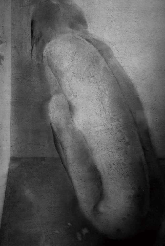 Cai Guangbin  蔡广斌