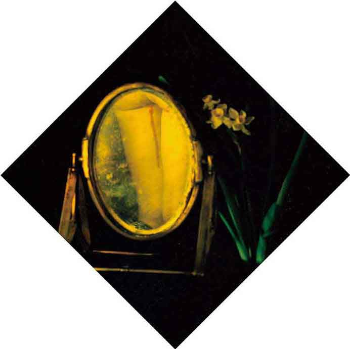 Chen Lingyang 陈羚羊