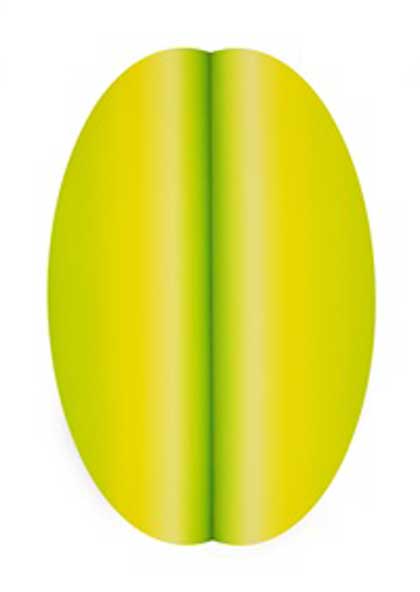 Chen Wenji  陈文骥