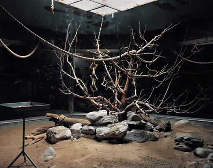  Ma Yongfeng 马永峰