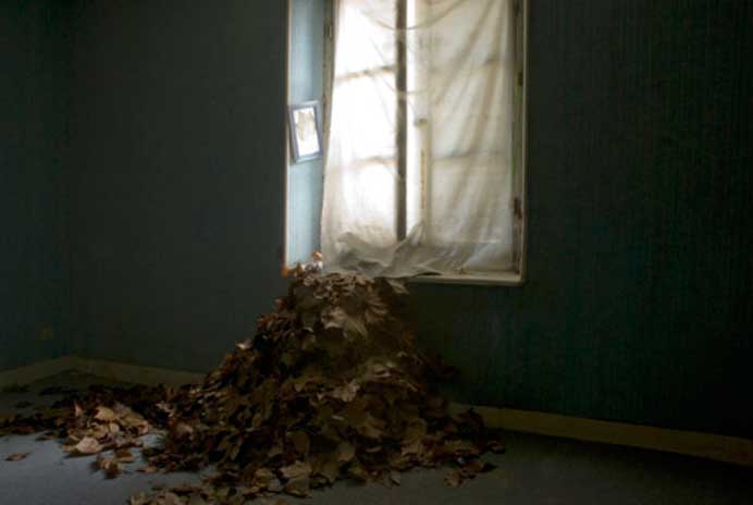 Shu-Jung Chao 趙書榕