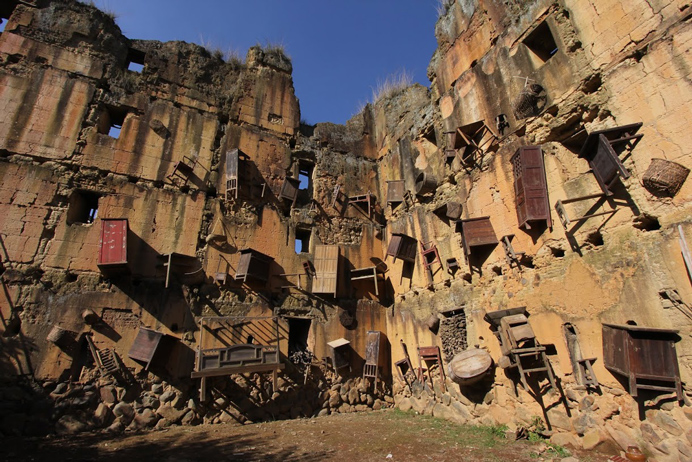 Wang Ziyue  王子月