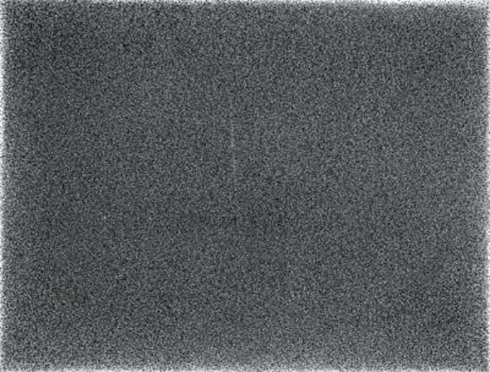 Zhang Yu 张羽 Zhang Yu 张羽