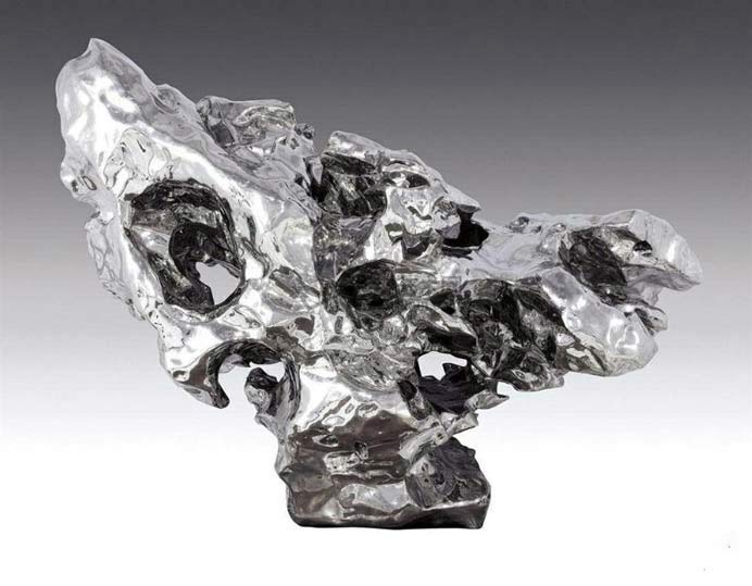 zhan Wang 展望 Zhan Wang