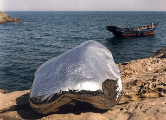 zhan Wang 展望 Zhan Wang