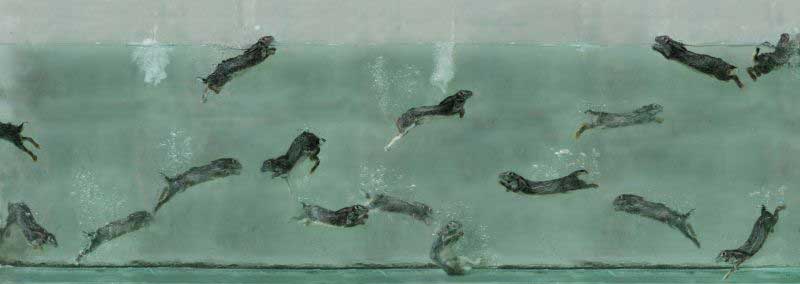 Zhou Hongbin  周宏斌