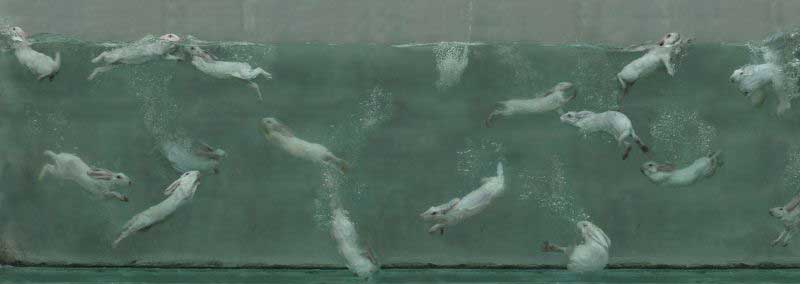 Zhou Hongbin  周宏斌