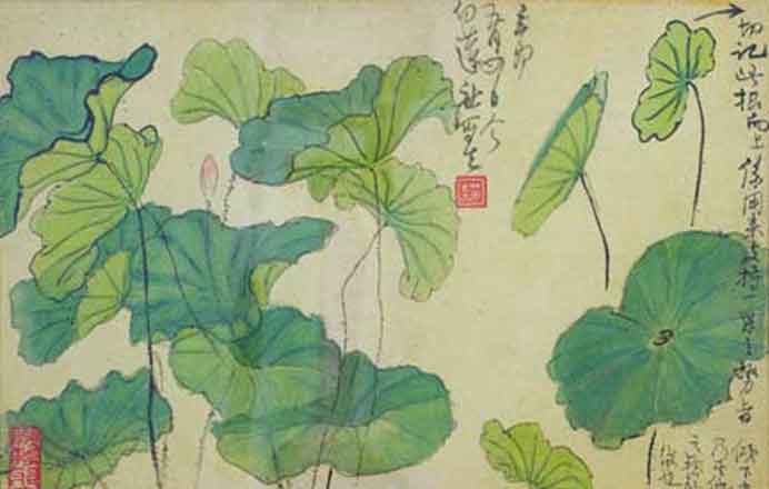 Deng Fen  邓芬