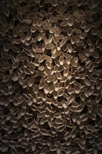 Hsu Yung-Hsu  徐永旭 