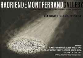Lu Chao  陆超 - Black Forest  Hadrien de Montferrand Gallery  24.11 2013 invitation