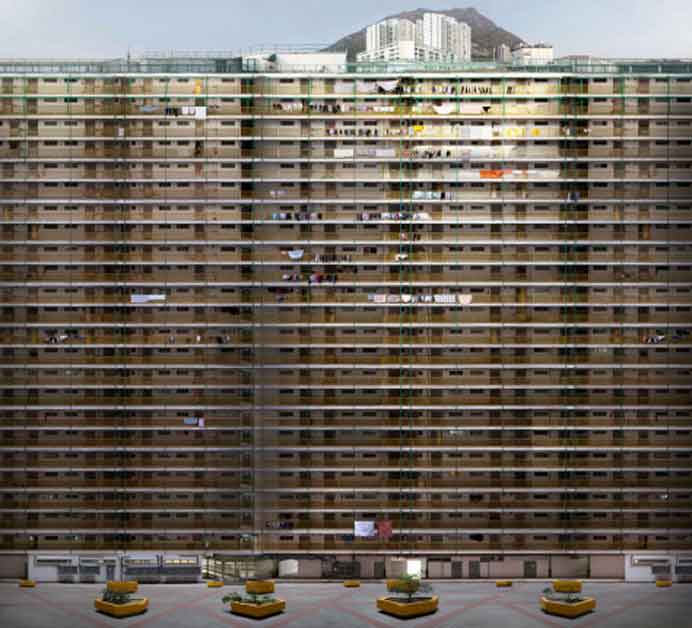 © Max Chan Wang  陈泓