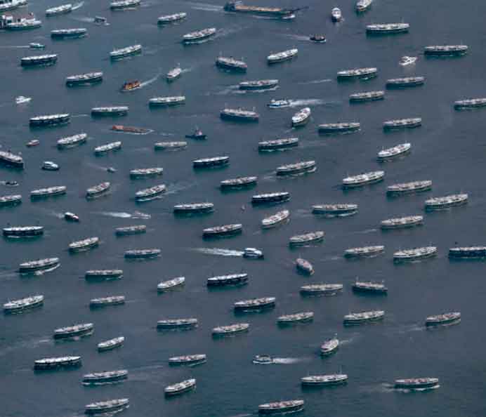 © Max Chan Wang  陈泓