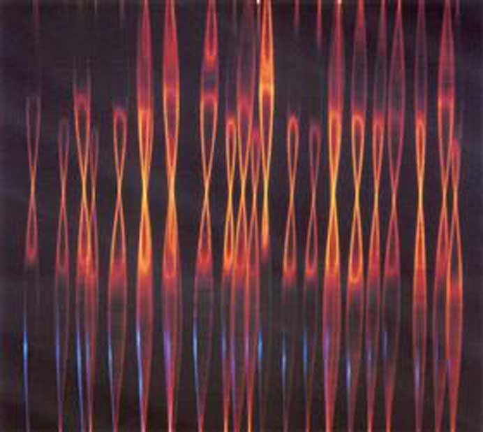  Tsai Wen-Ying  蔡文颖 