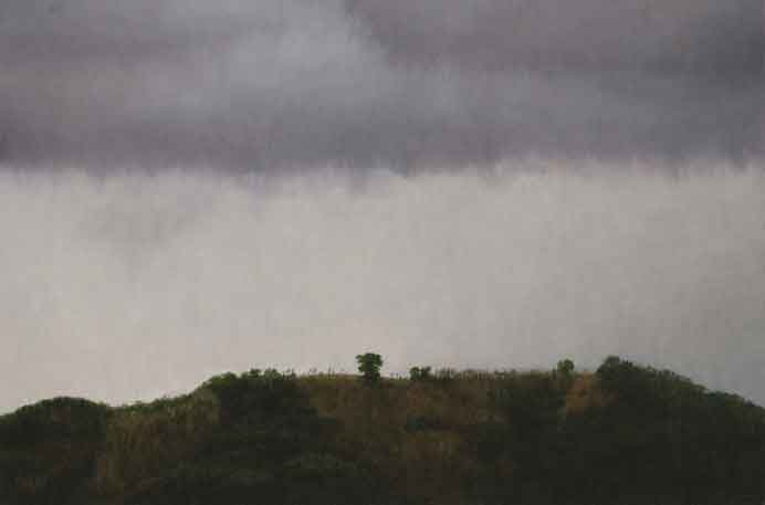 Tzu-Chi Yeh  叶子奇 