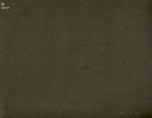 Wei Hong 魏虹 - Savor 2008 Wei Hong 魏虹