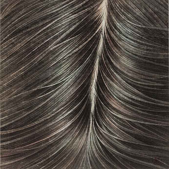 Zhang Chunhong  张春红 - Black - close-up- chinese ink and watercolor on rice paper  2015