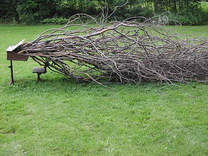  Zhang Chunhong  张春红 - Environmental Study - detail  2003