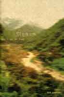  Zhang Qing  章清 - Don't go so fast   catalogue 2009 