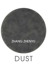 © Zhang Zhenyu  张震宇- catalogue Dust 