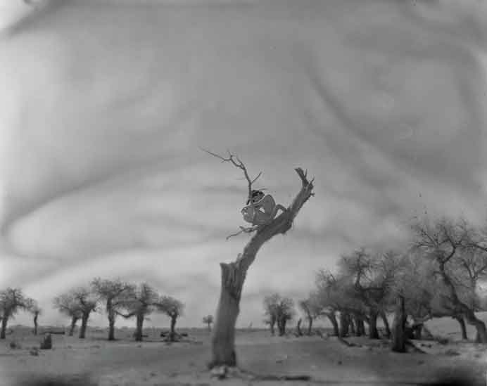  Adou  阿斗 -  Besieged, Inner Mongolia  -  2009  -  Silver gelatin print 