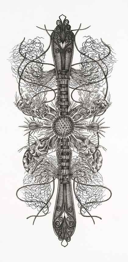 Angela Su 徐世琪    -  Chimeric Antibodies 5 - Ink on drafting paper  -  2011  