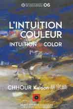 Chhour Kaloon  蔡家麟 - L'INTUITION DE LA COULEUR - INTUITION COLOR Musée des Arts Asiatiques  Nice 2019