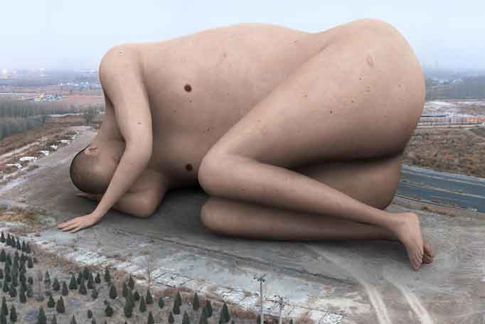 Liu Di  柳迪 -  Animal Regulation N° 9   