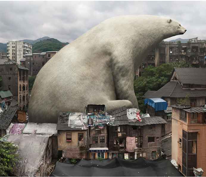  Liu Di  柳迪  -  Animal Regulation N° 17 