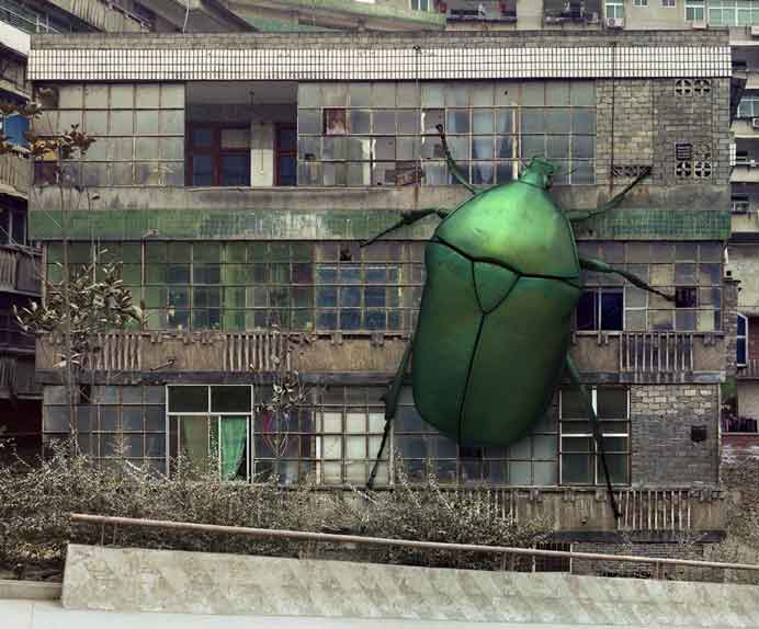  Liu Di  柳迪  -  Animal Regulation N° 16 